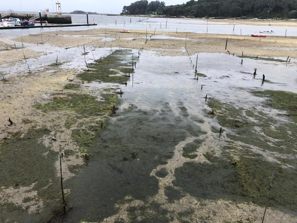 Alojamientos Rias Baixas- Casa Castillejos- Carril Vilagarcía de Arousa Exterior foto